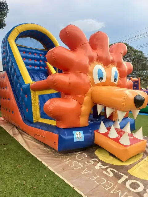 Tobogã Leão montado ao ar livre